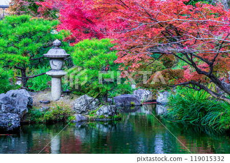 Keitakuen Garden in autumn with beautiful autumn leaves, Tennoji, Osaka, Japan, Japanese garden, Keitakuen garden in Tennoji park at Osaka city, Osaka, Japan. Keitakuen Garden in autumn with beautiful autumn leaves, Tennoji, Osaka, Japan, Japanese garden, Keitakuen garden in Tennoji park at Osaka city, Osaka, Japan. 119015332