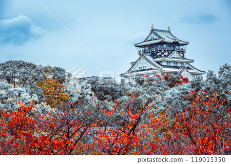 Osaka Castle beautiful attraction ancient architecture landmark, Osaka Castle in winter, Landscape view osaka castle museum, Osaka City, Kansai, Japan. 119015350