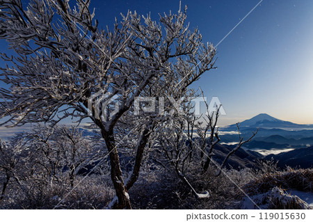 月夜丹澤登嶽山頂的霧凇與富士山 119015630