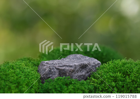 stone as stand with green moss on natural background. Mockup for cosmetics and other products display stone as stand with green moss on natural background. Mockup for cosmetics and other products display 119015788