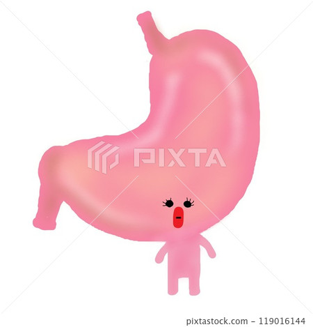 胃 胃 119016144