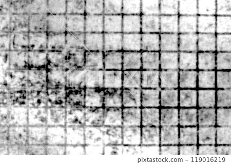 Artistic backgroun. Grunge filter. Monochrome particles abstract for wallpaper or backgroun copy mask for photo editor. 119016219