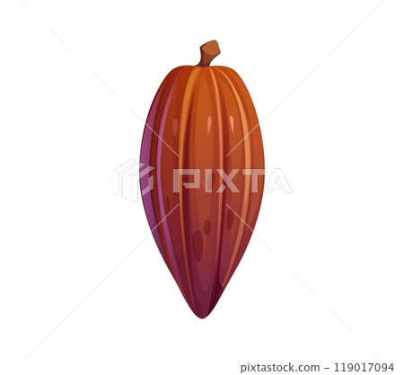 Cartoon cocoa pod or bean with rich brown color and ribbed texture. Isolated vector chocolate cacao tree plant seed. Confection ingredient for kakao powder, confectionery and sweets cooking Cartoon cocoa pod or bean with rich brown color and ribbed texture. Isolated vector chocolate cacao tree plant seed. Confection ingredient for kakao powder, confectionery and sweets cooking 119017094