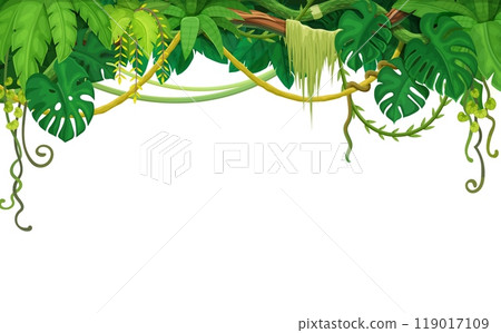 Tropical jungle rain forest liana vines background with monstera leaves frame, vector plants. Tropical liana and ivy branches or creeper plant vines and monstera leaf hanging on white blank background Tropical jungle rain forest liana vines background with monstera leaves frame, vector plants. Tropical liana and ivy branches or creeper plant vines and monstera leaf hanging on white blank background 119017109