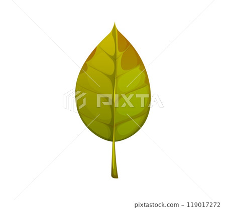 Cartoon autumn green leaf with subtle brownish autumnal shades at the edges and smooth, symmetrical shape with visible veins. Isolated vector tree foliage, natural element of forest, garden vegetation Cartoon autumn green leaf with subtle brownish autumnal shades at the edges and smooth, symmetrical shape with visible veins. Isolated vector tree foliage, natural element of forest, garden vegetation 119017272