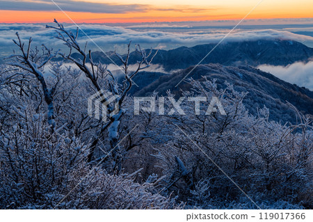 View of the mountain range and sea of clouds at dawn from the frost-covered Mt. Tonodake in Tanzawa 119017366