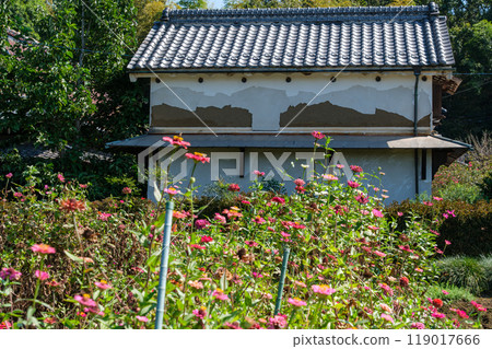 Kura and flower garden 119017666