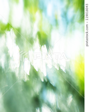 A clear stream flowing through fresh greenery (Kiyasawa Stream) A clear stream flowing through fresh greenery (Kiyasawa Stream) 119018043