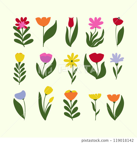 Collection of Various Colorful Flowers and Leaves 119018142