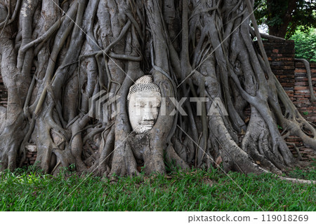 Ayutthaya Historical Park, Wat Mahathat 119018269