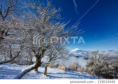 Fuji seen from Tanzawa / Nabezakiyama in snowy landscape 119018448