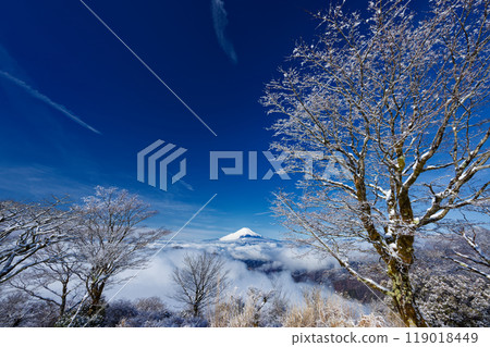Fuji seen from Tanzawa / Nabezakiyama in snowy landscape 119018449