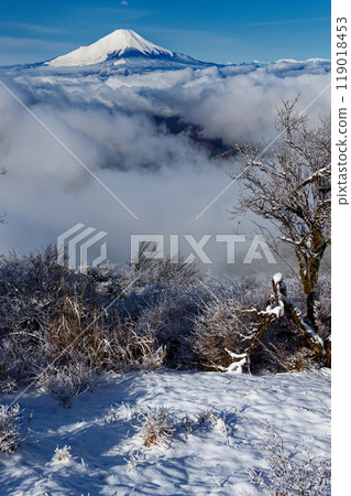 Fuji seen from Tanzawa / Nabezakiyama in snowy landscape 119018453