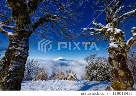 Fuji seen from Tanzawa / Nabezakiyama in snowy landscape 119018455