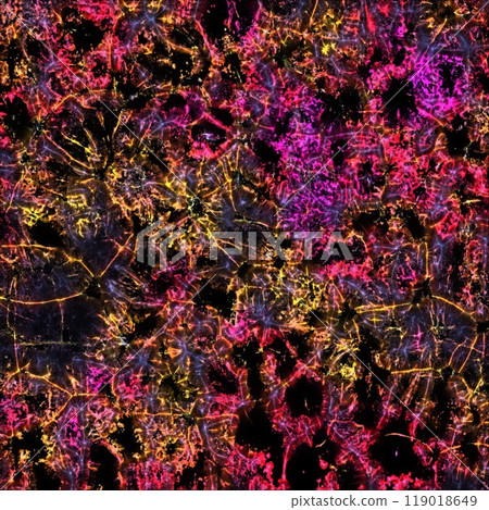 Background texture image of muddy pattern Background texture image of muddy pattern 119018649