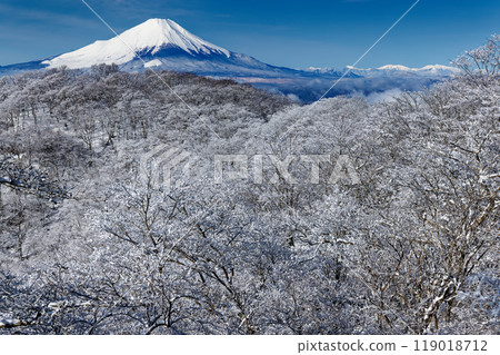 View of Mt. Fuji and frost-covered trees on the Nabewari Ridge in Tanzawa 119018712