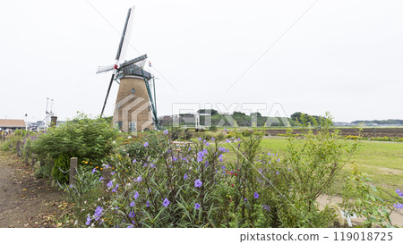 櫻花故鄉廣場宇宙 櫻花故鄉廣場宇宙 119018725