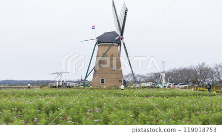 櫻花故鄉廣場宇宙 櫻花故鄉廣場宇宙 119018753