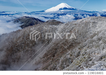 樹木結霜的丹澤、鍋割山和富士山的景色 樹木結霜的丹澤、鍋割山和富士山的景色 119018801