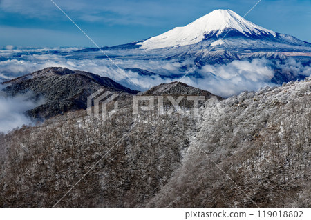 View of Mt. Fuji and Mt. Nabewari, covered with frost-covered trees in Tanzawa View of Mt. Fuji and Mt. Nabewari, covered with frost-covered trees in Tanzawa 119018802
