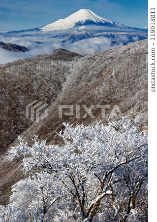 View of Mt. Fuji and Mt. Nabewari, covered with frost-covered trees in Tanzawa 119018811