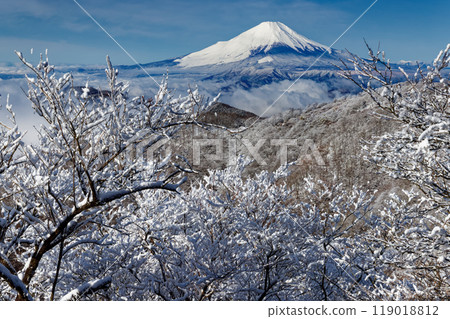 View of Mt. Fuji and Mt. Nabewari, covered with frost-covered trees in Tanzawa 119018812