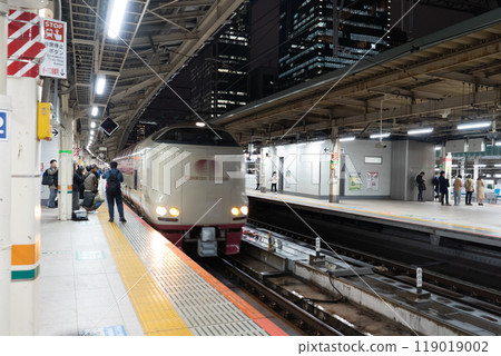 Sunrise Express 進入東京月台 Sunrise Express 進入東京月台 119019002