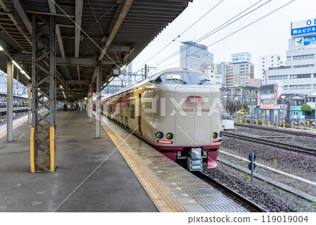 臥舖特快 Sunrise Express 停在岡山月台 臥舖特快 Sunrise Express 停在岡山月台 119019004