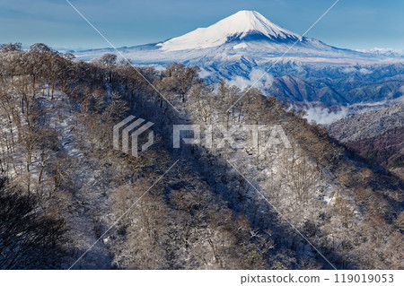 Mt. Fuji and Nabewari Ridge seen from directly below Mount Tonodake in Tanzawa in winter 119019053