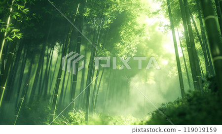 Lush Green Bamboo Forest Under Soft Sunlight With Misty Atmosphere in Early Morning. Generative AI Lush Green Bamboo Forest Under Soft Sunlight With Misty Atmosphere in Early Morning. Generative AI 119019159