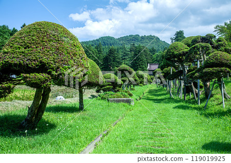 洞瀧山總光寺 119019925