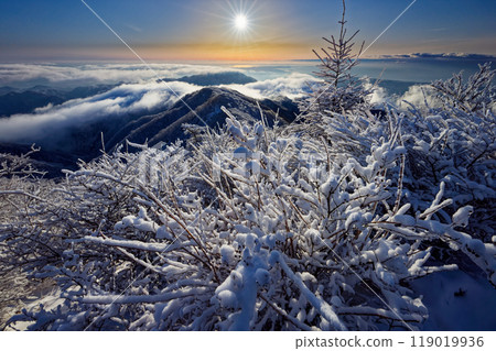 從丹澤市塔野嶽山頂看到的朝陽和表脊，樹木被霜覆蓋 119019936