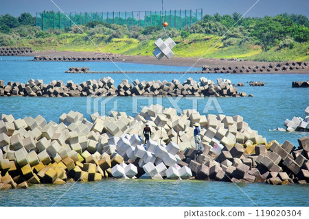 工人堆放四足動物，海洋土木工程 119020304
