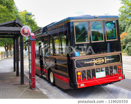 Loople Sendai sightseeing bus stops at the Museum/International Center stop 119020350