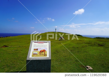 與那國島 與那國島 119020360