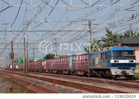 EF210-6牽引的貨運列車排成長隊形在東海道貨運線上行駛_2009年9月17日攝 EF210-6牽引的貨運列車排成長隊形在東海道貨運線上行駛_2009年9月17日攝 119020824