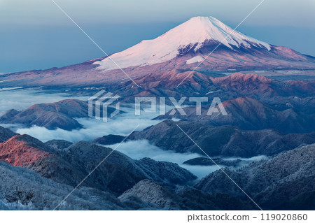 嚴冬中從丹澤塔野嶽山頂看到的富士山日出 119020860