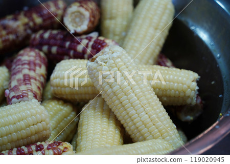 Steamed corn on the cob for sale at a Korean market Steamed corn on the cob for sale at a Korean market 119020945