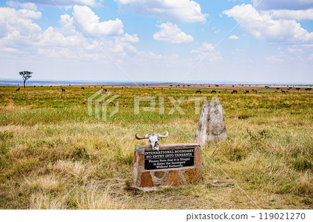 tree on a field 119021270