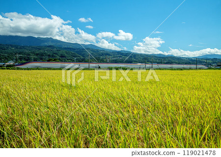 Shinkansen Tsubasa 119021478