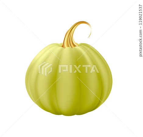 3d realistic pumpkin. Green pumpkin with golden stem. 119021537
