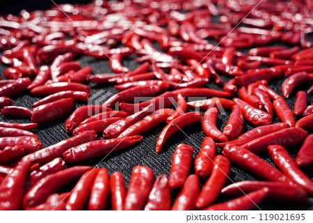 Drying red peppers under the autumn sun 119021695