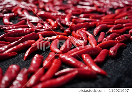 Drying red peppers under the autumn sun 119021697