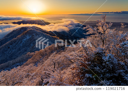 The morning sun and the Omote-one mountain ridge seen from the top of Mt. Tonodake, Tanzawa covered in frost-covered trees The morning sun and the Omote-one mountain ridge seen from the top of Mt. Tonodake, Tanzawa covered in frost-covered trees 119021716