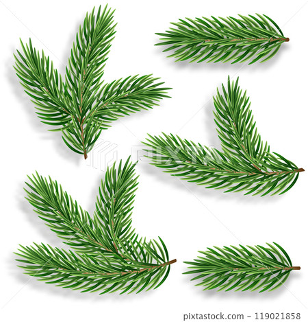 Set of 3d realistic evergreen pine tree branches for a Christmas decor. Vector illustration. Green needles for winter xmas holiday celebration. 119021858