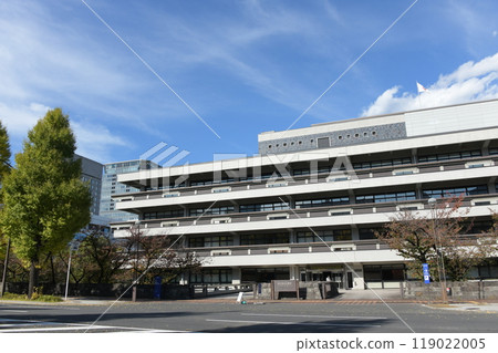 National Diet Library, Nagatacho, Chiyoda-ku, Tokyo, Autumn 119022005