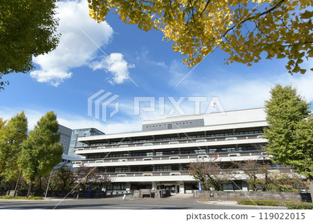 National Diet Library, Nagatacho, Chiyoda-ku, Tokyo, Autumn National Diet Library, Nagatacho, Chiyoda-ku, Tokyo, Autumn 119022015