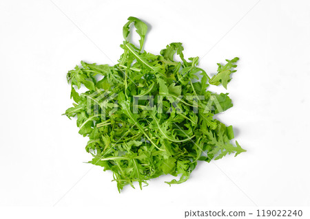Freshly harvested arugula arranged on a white background showcasing vibrant greens Freshly harvested arugula arranged on a white background showcasing vibrant greens 119022240