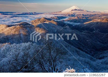 Morning view of Nabewari Mountain Ridge and Mt. Fuji from Tonodake, Tanzawa 119022267