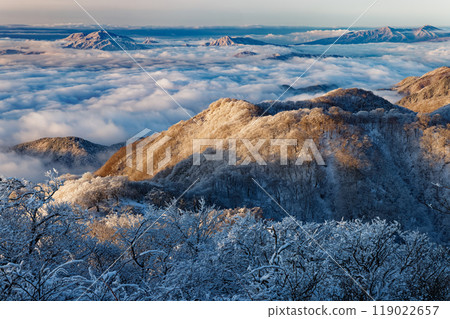 從丹澤和塔野嶽山的雲層上看到箱根和阿席達卡山，樹木被霜覆蓋 119022657